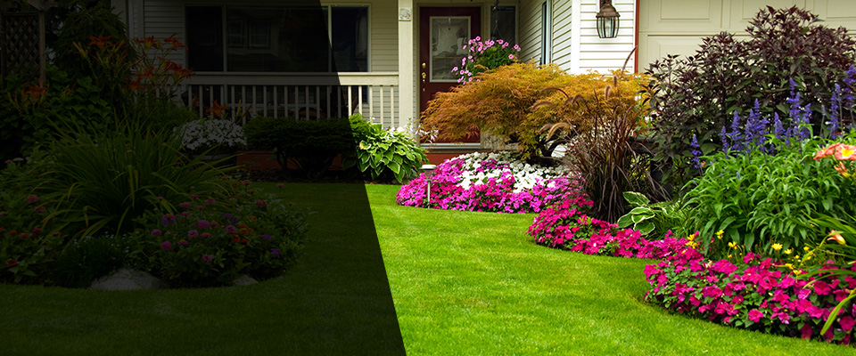 Andersonville Landscapers