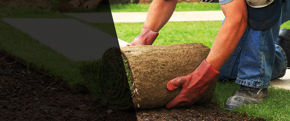 Andersonville Landscapers